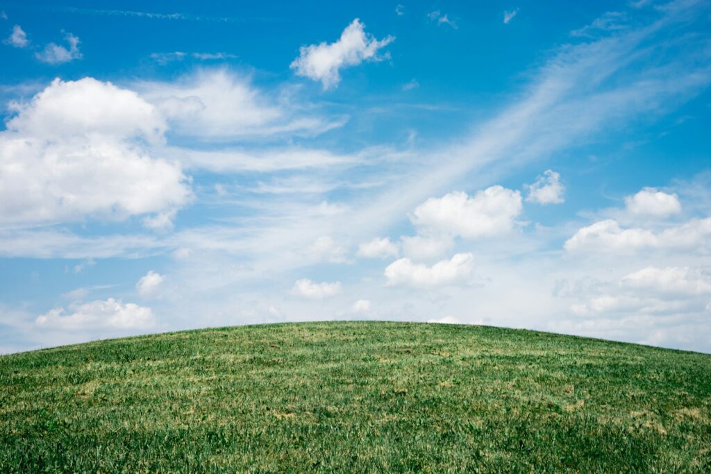 Paisaje de cesped bajo el cielo azul